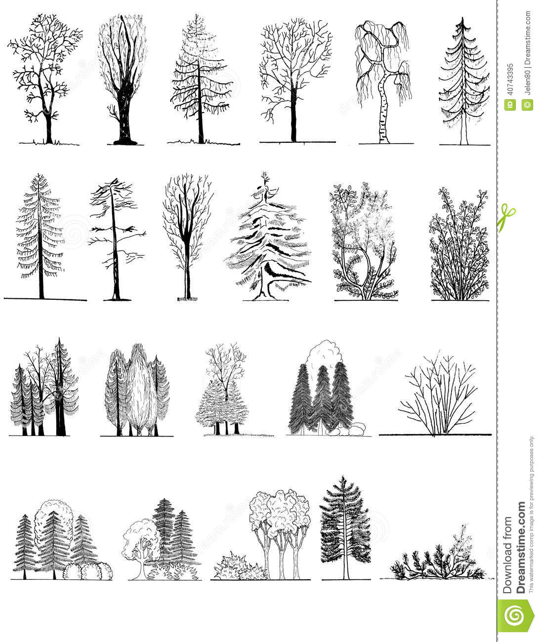 Detail Architectural Tree Nomer 10
