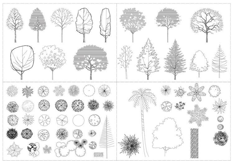 Detail Architecture Tree Nomer 17