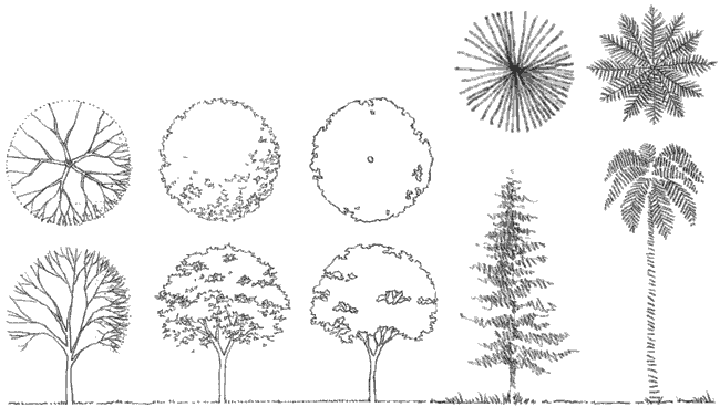 Detail Architecture Tree Nomer 6