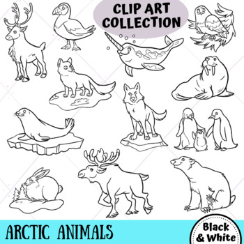 Detail Arctic Animal Clipart Nomer 42