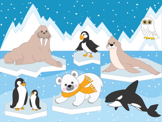 Detail Arctic Animals Clip Art Nomer 14