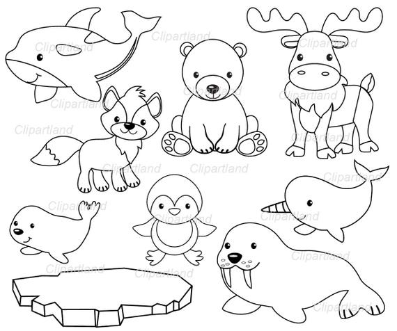 Detail Arctic Animals Clip Art Nomer 24