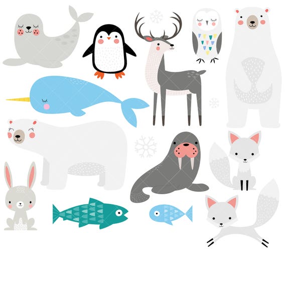 Detail Arctic Animals Clip Art Nomer 29