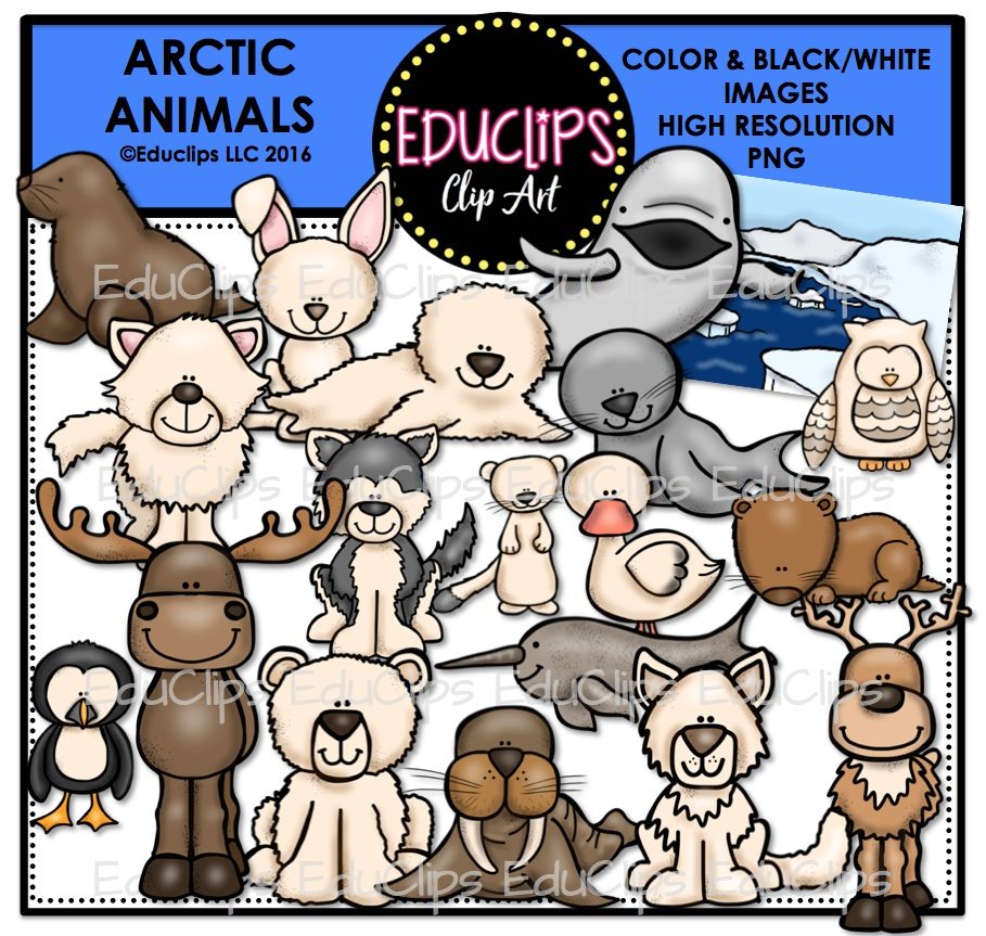 Detail Arctic Animals Clip Art Nomer 38