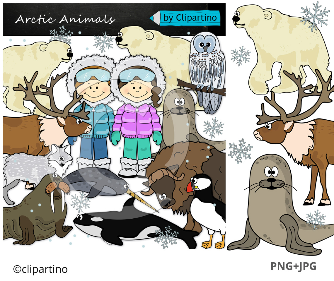 Detail Arctic Animals Clip Art Nomer 41