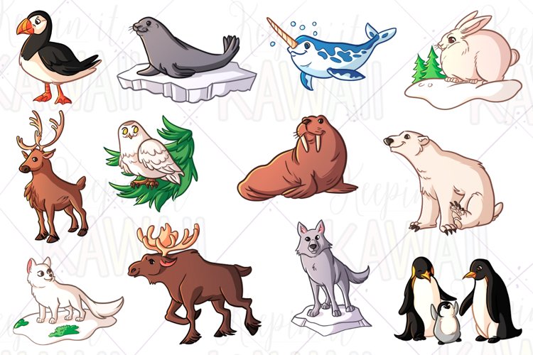 Detail Arctic Animals Clipart Nomer 2