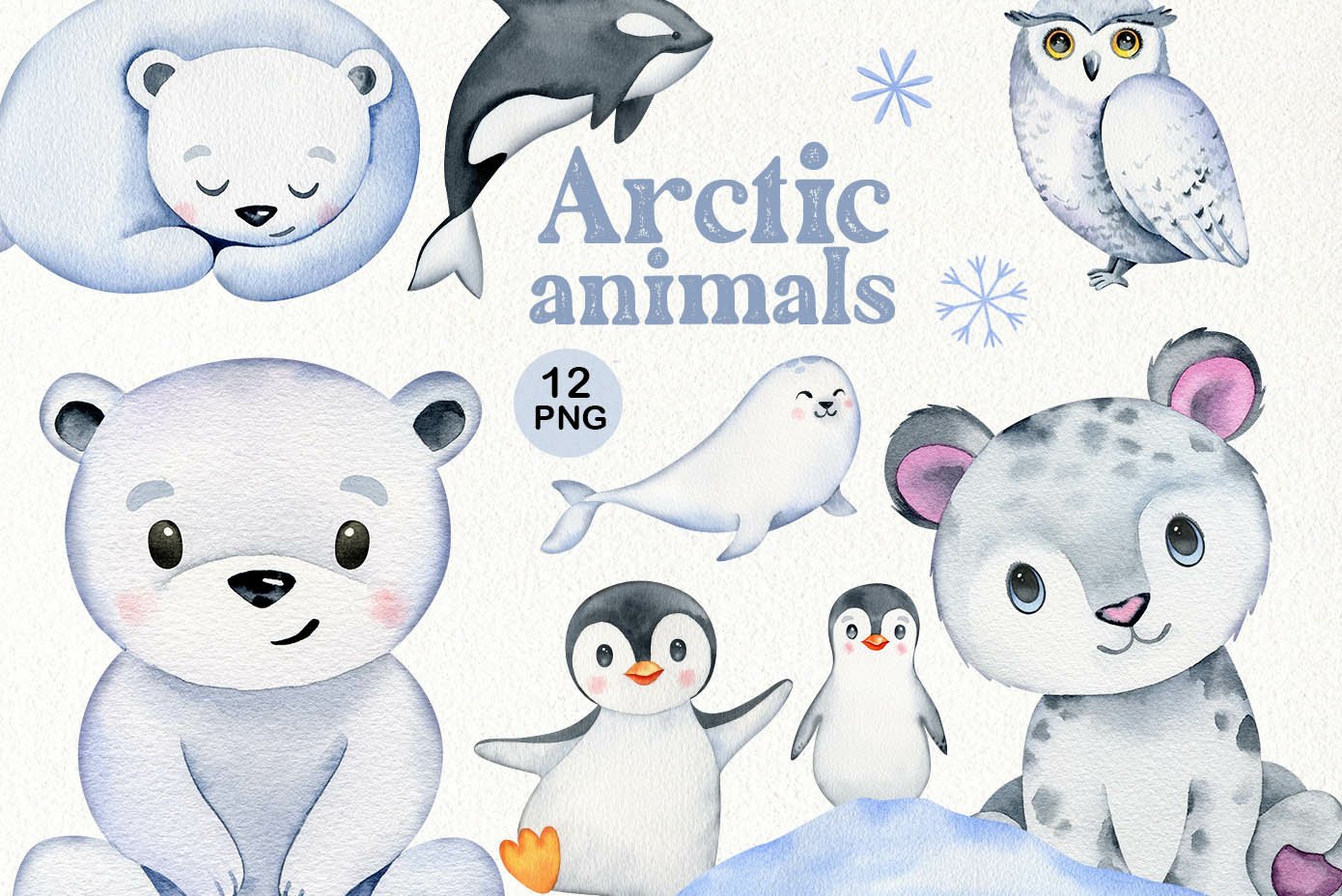 Detail Arctic Animals Clipart Nomer 40