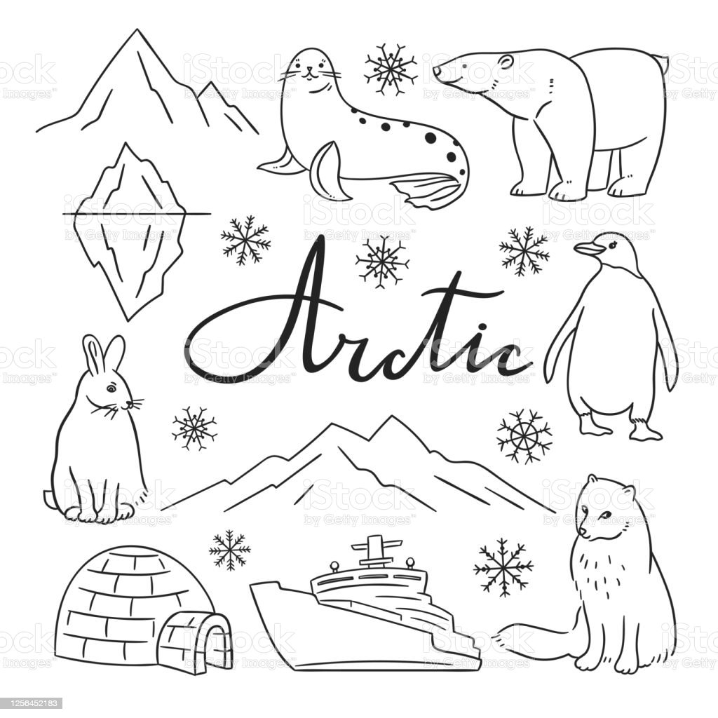 Detail Arctic Animals Clipart Black And White Nomer 13