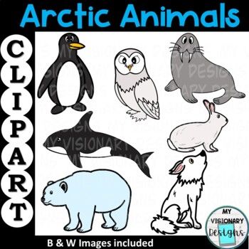 Detail Arctic Animals Clipart Black And White Nomer 35