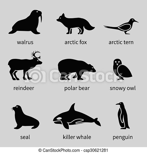 Detail Arctic Animals Clipart Black And White Nomer 39