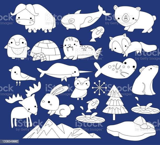 Detail Arctic Animals Clipart Black And White Nomer 49