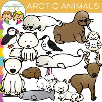 Detail Arctic Animals Clipart Black And White Nomer 52