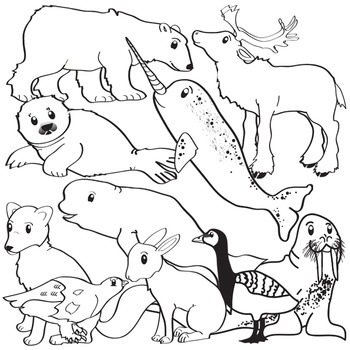 Detail Arctic Animals Clipart Black And White Nomer 53