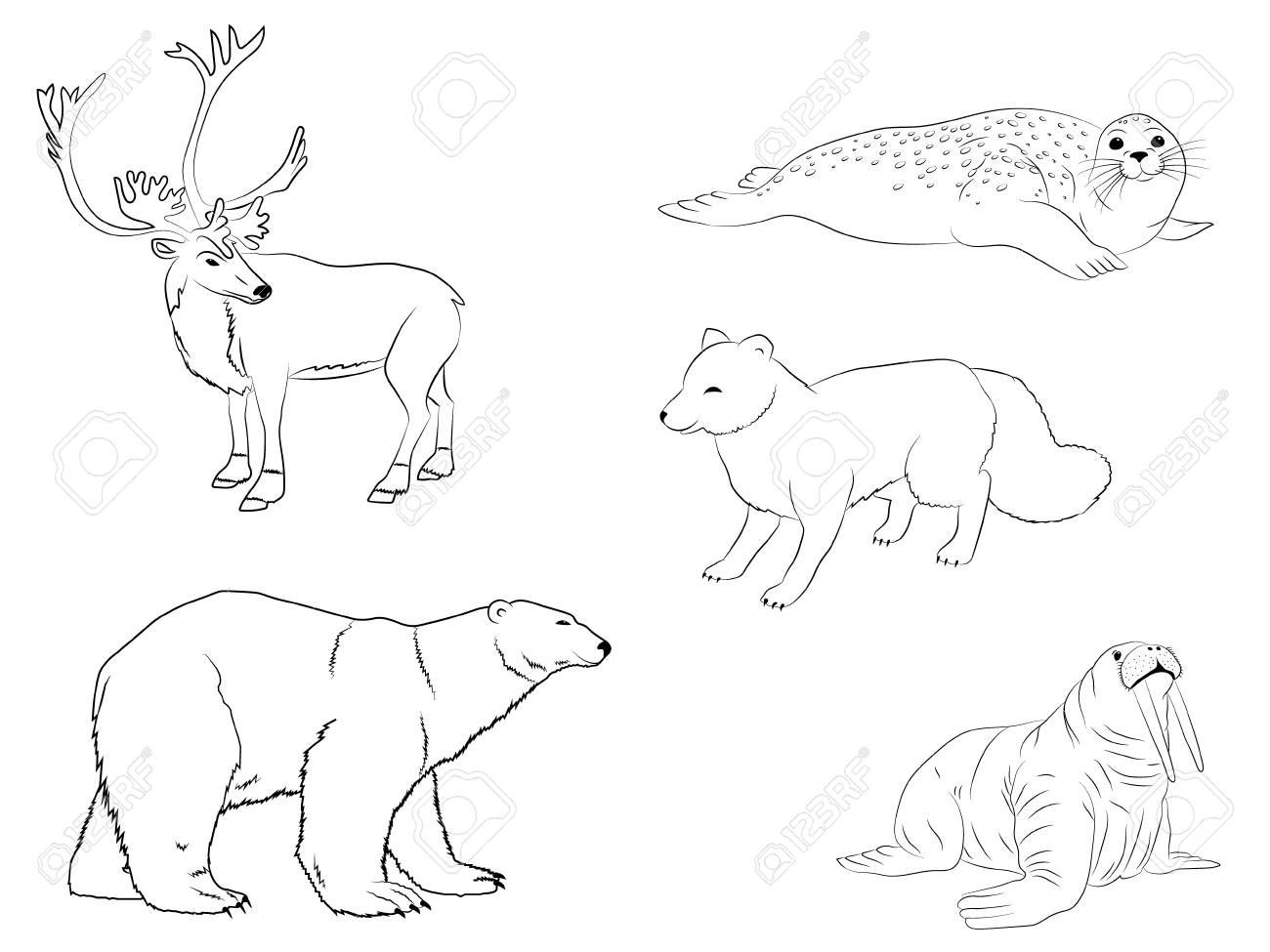 Detail Arctic Animals Clipart Black And White Nomer 7