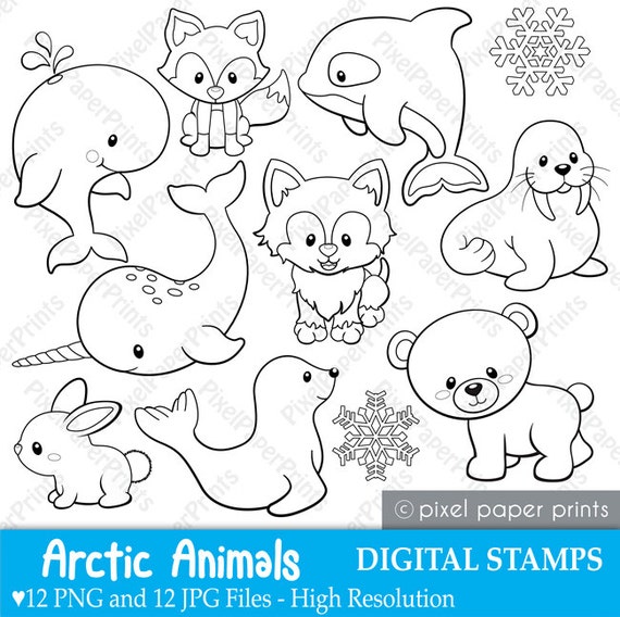 Detail Arctic Animals Clipart Black And White Nomer 9