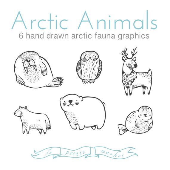 Detail Arctic Animals Clipart Black And White Nomer 10