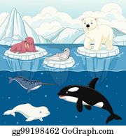 Detail Arctic Clipart Nomer 19