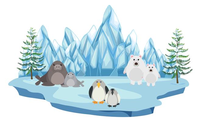 Detail Arctic Clipart Nomer 20