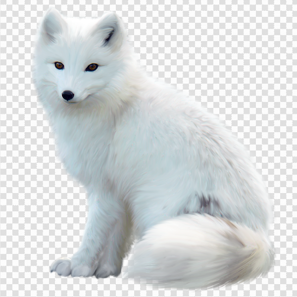 Detail Arctic Fox Clipart Nomer 13