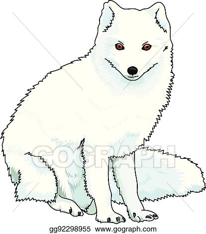 Detail Arctic Fox Clipart Nomer 21