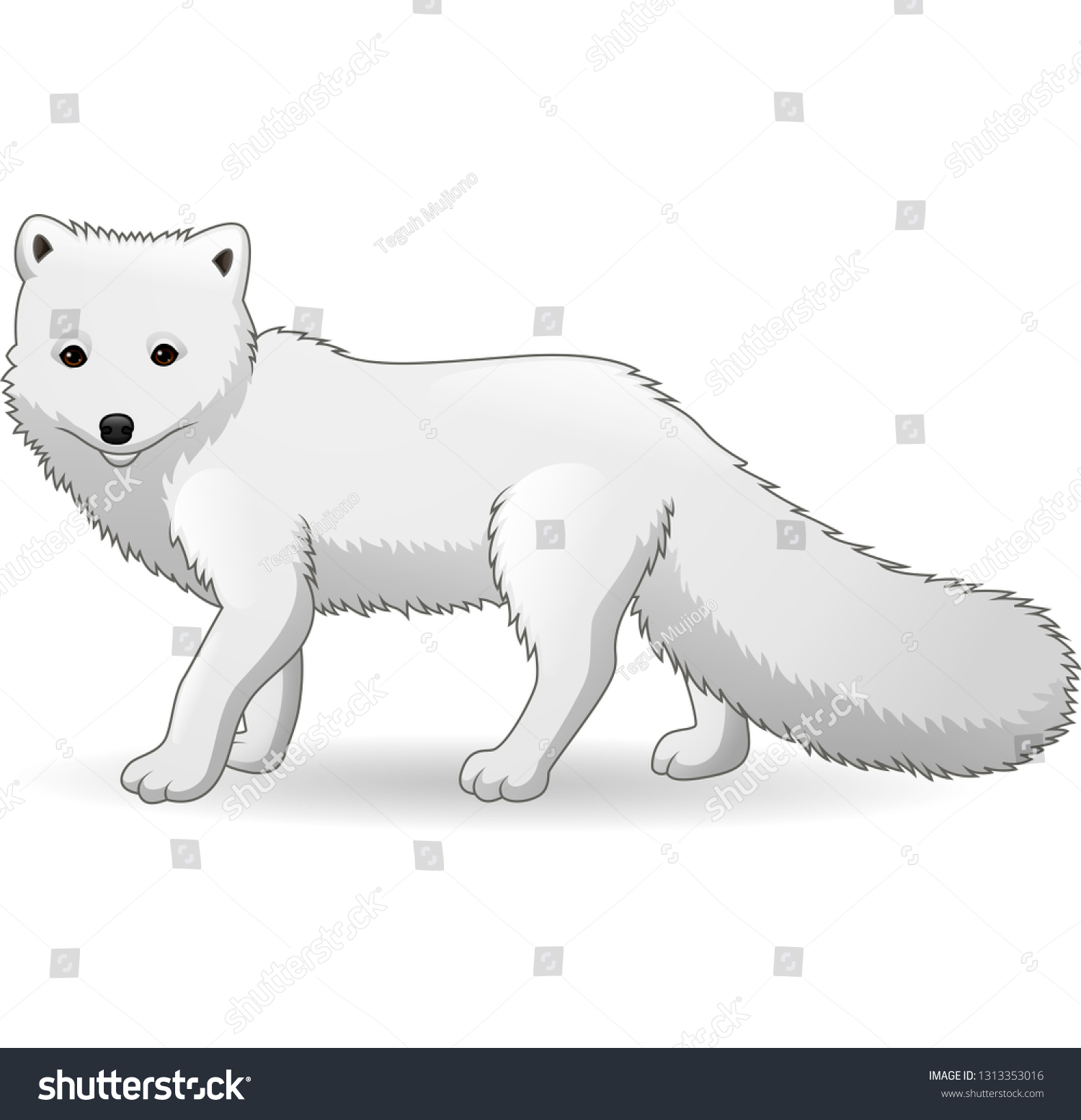 Detail Arctic Fox Clipart Nomer 49