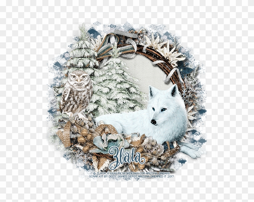 Detail Arctic Fox Clipart Nomer 54