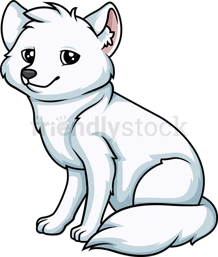 Detail Arctic Fox Clipart Black And White Nomer 36