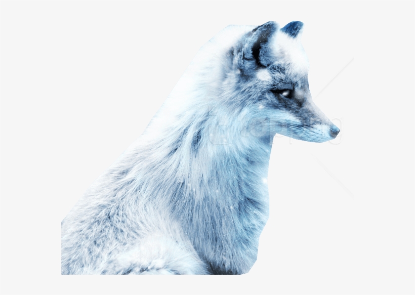 Detail Arctic Fox Download Nomer 14