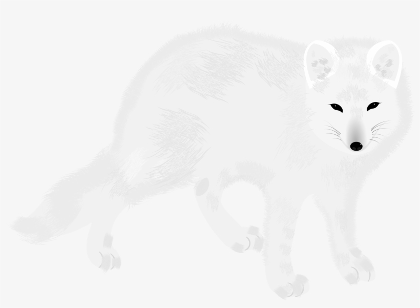 Detail Arctic Fox Download Nomer 18