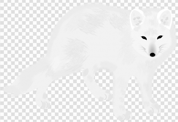 Detail Arctic Fox Download Nomer 43