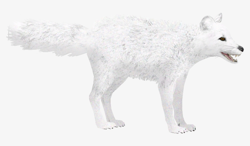 Detail Arctic Fox Download Nomer 46