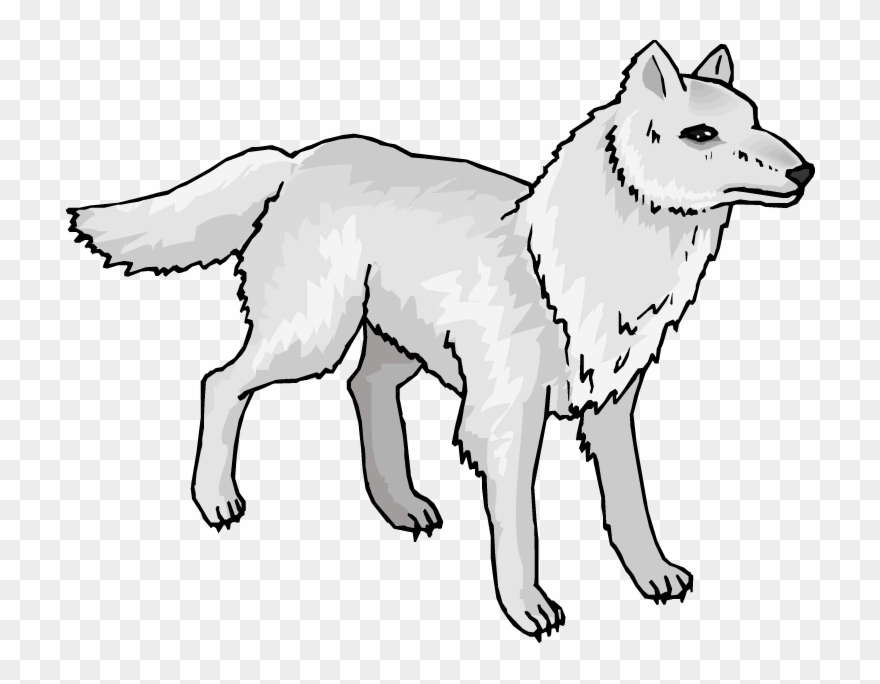Detail Arctic Wolf Clipart Nomer 5