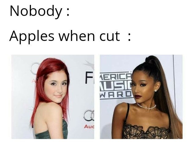 Detail Ariana Grande Meme Nomer 10