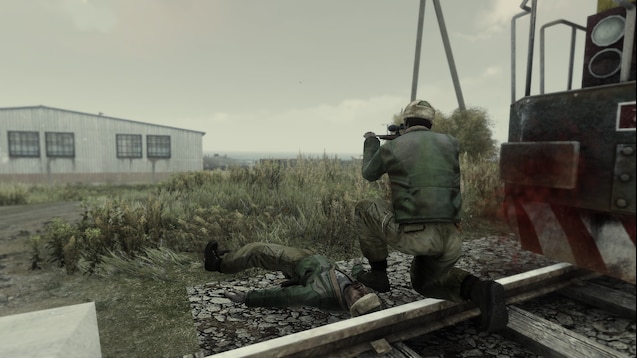Detail Arma 2 Eagle Wing Nomer 23