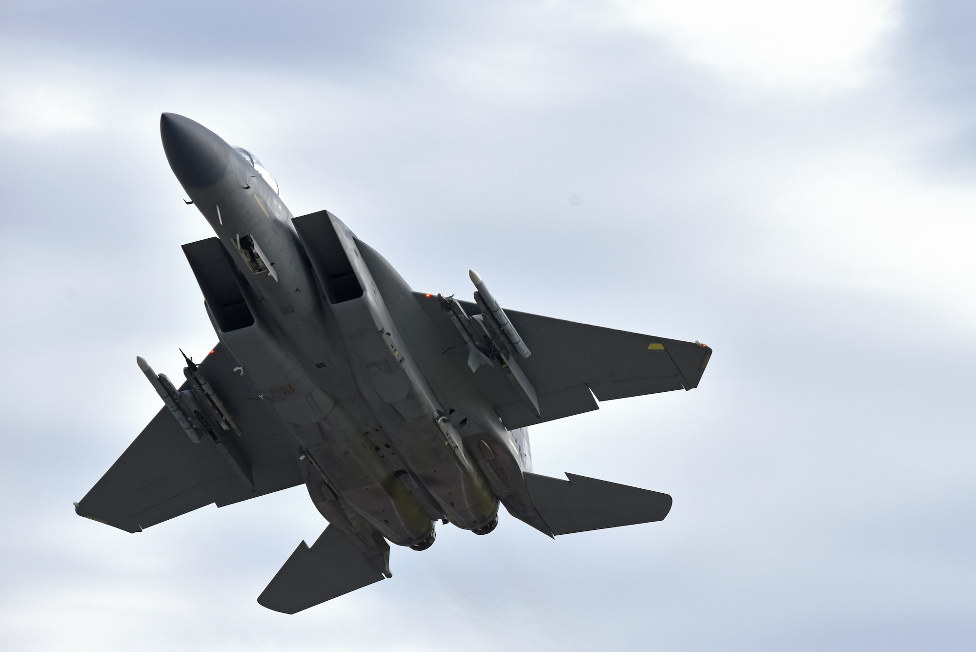 Detail Arma 2 Eagle Wing Nomer 31