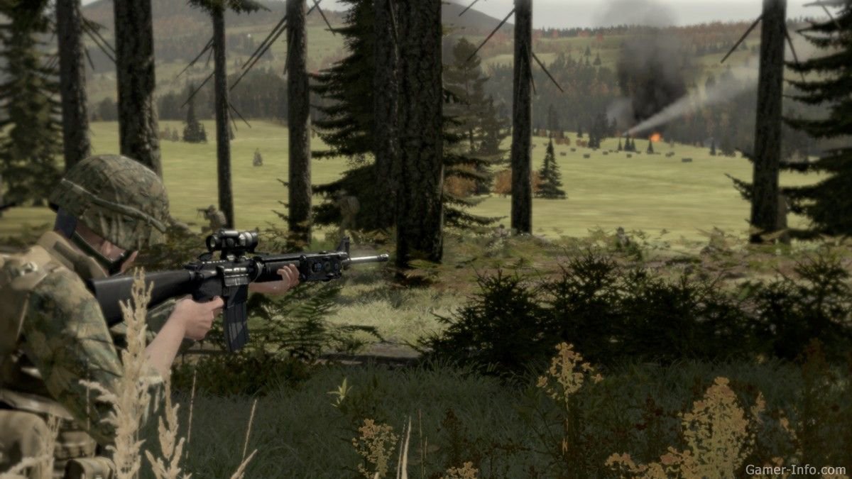Detail Arma 2 Eagle Wing Nomer 39