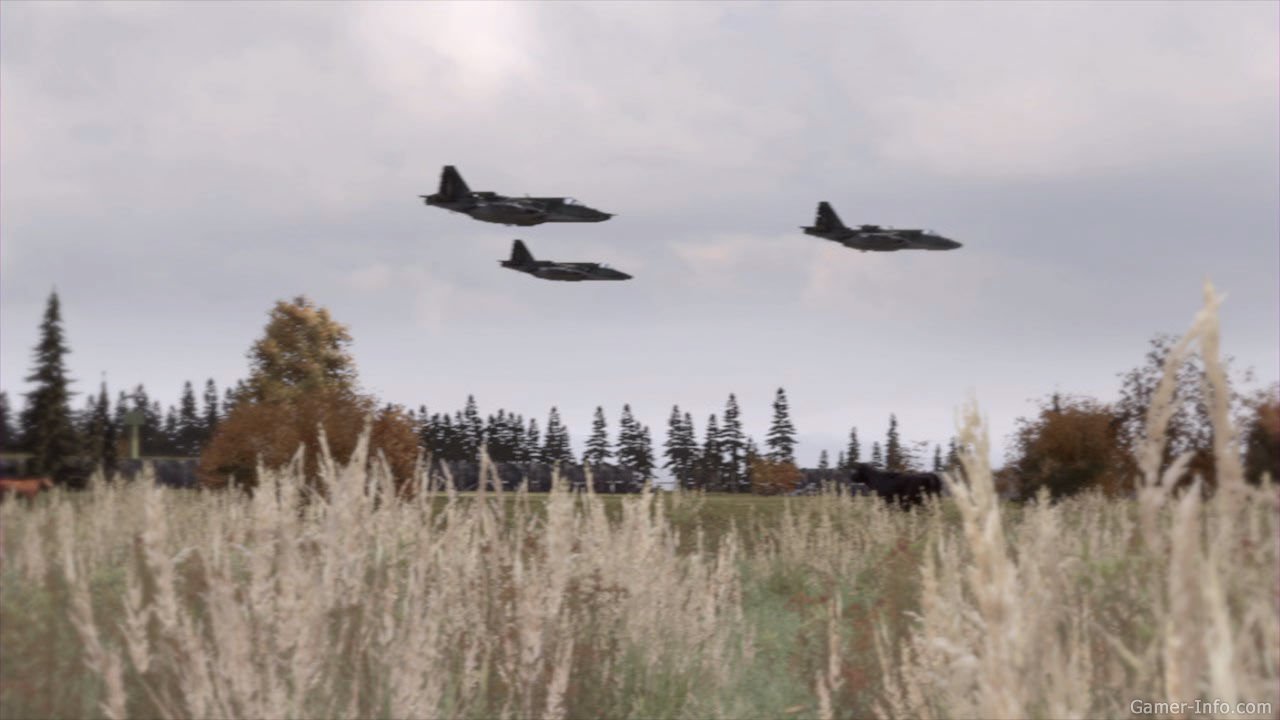 Detail Arma 2 Eagle Wing Nomer 52