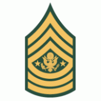 Detail Army Logo Vector Nomer 52