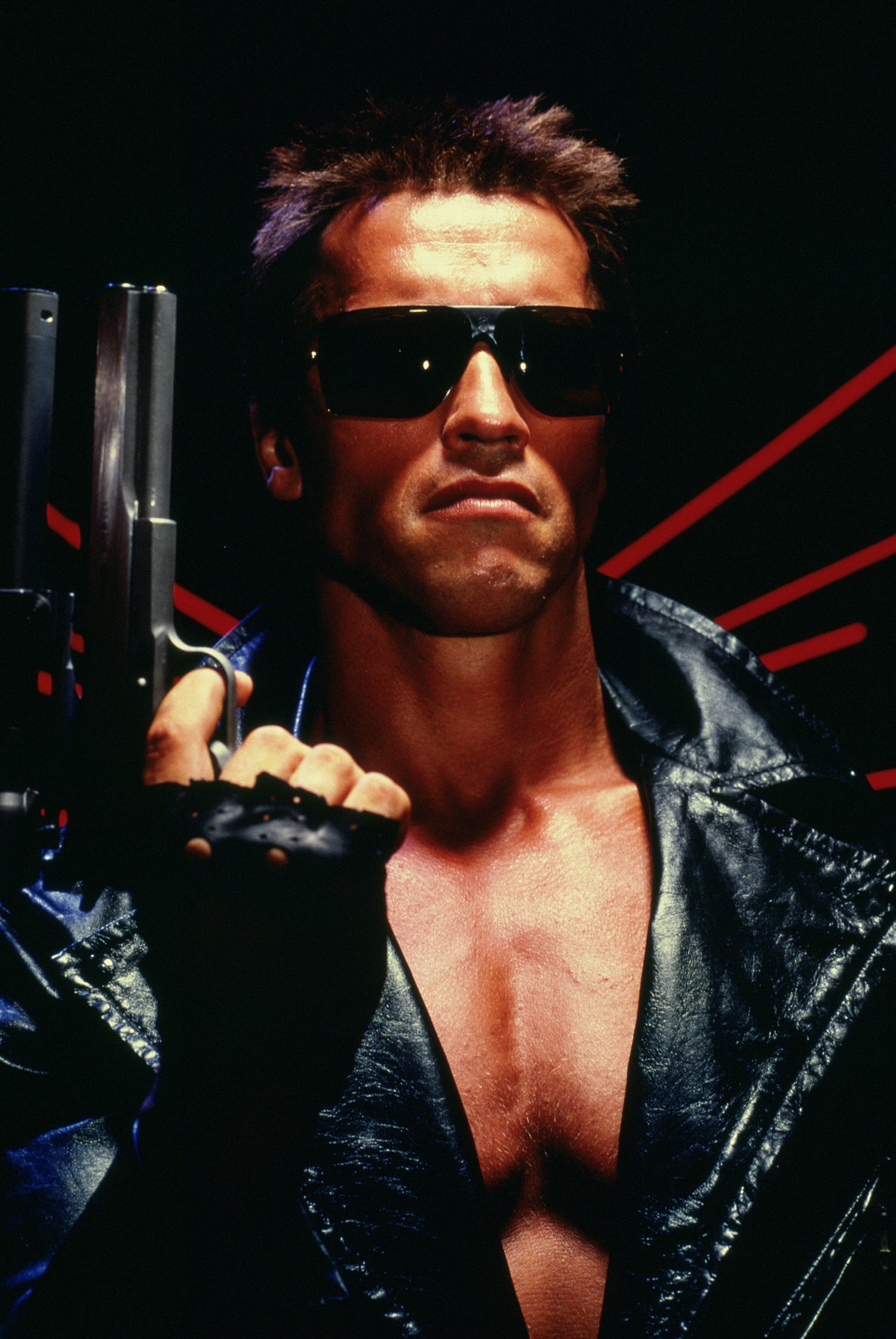 Detail Arnold Schwarzenegger Terminator Pictures Nomer 2