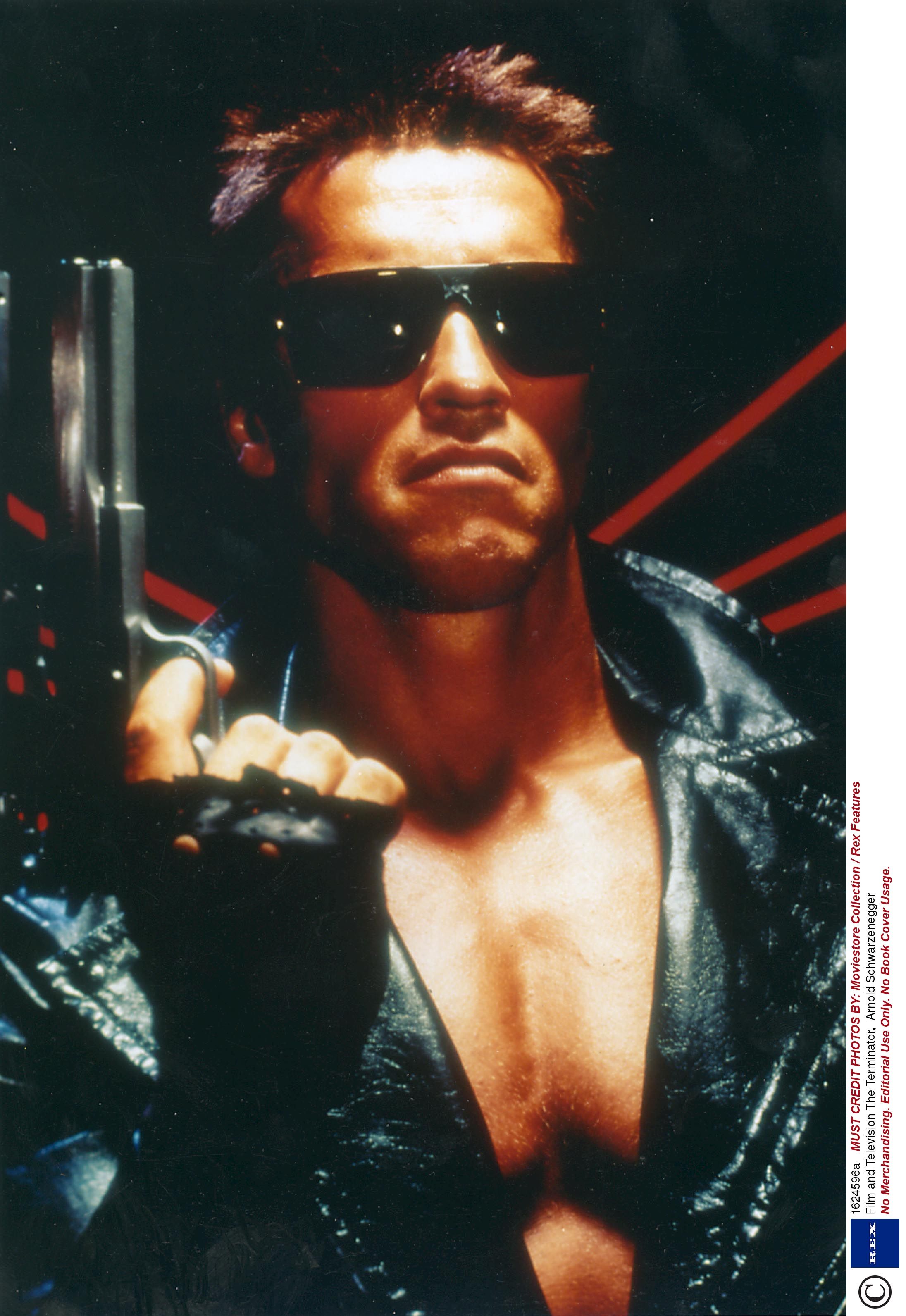 Detail Arnold Schwarzenegger Terminator Pictures Nomer 14