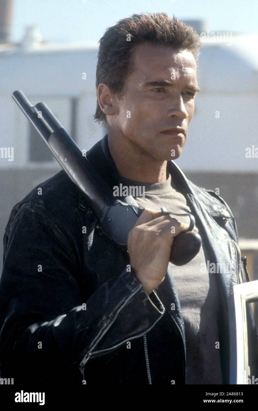 Detail Arnold Schwarzenegger Terminator Pictures Nomer 19