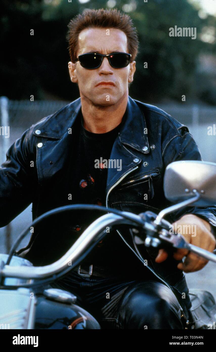 Detail Arnold Schwarzenegger Terminator Pictures Nomer 26