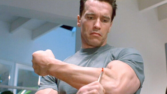 Detail Arnold Schwarzenegger Terminator Pictures Nomer 40