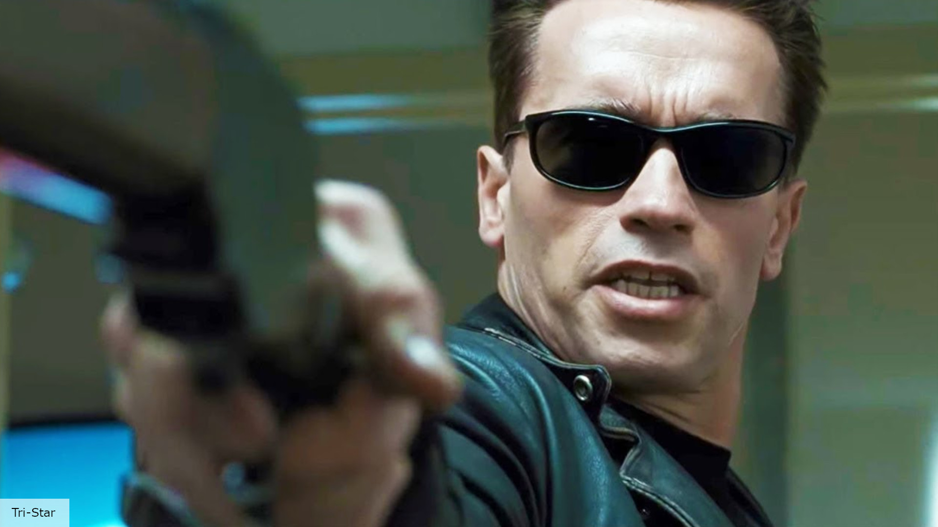 Detail Arnold Schwarzenegger Terminator Pictures Nomer 48