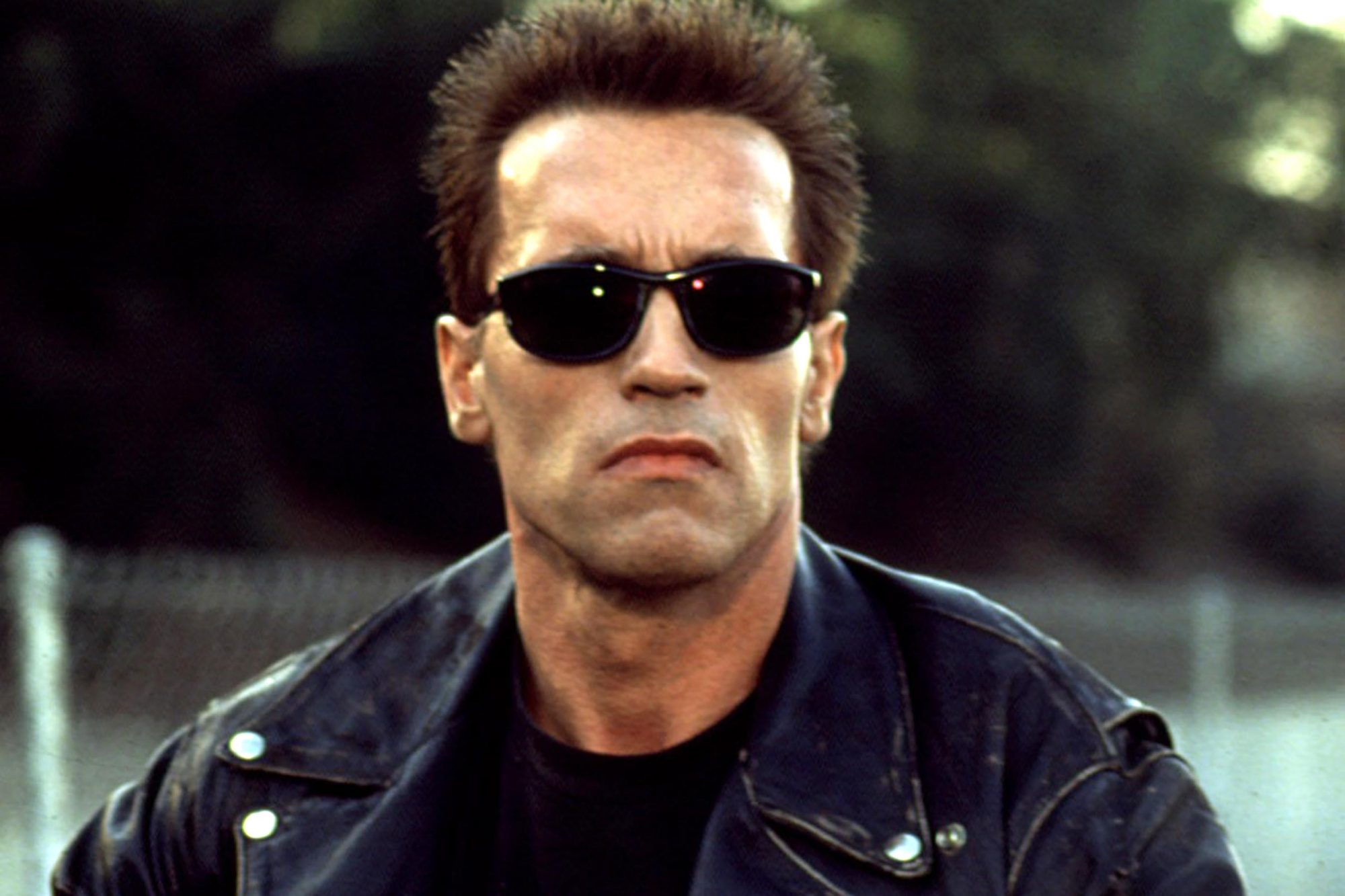 Detail Arnold Schwarzenegger Terminator Pictures Nomer 6