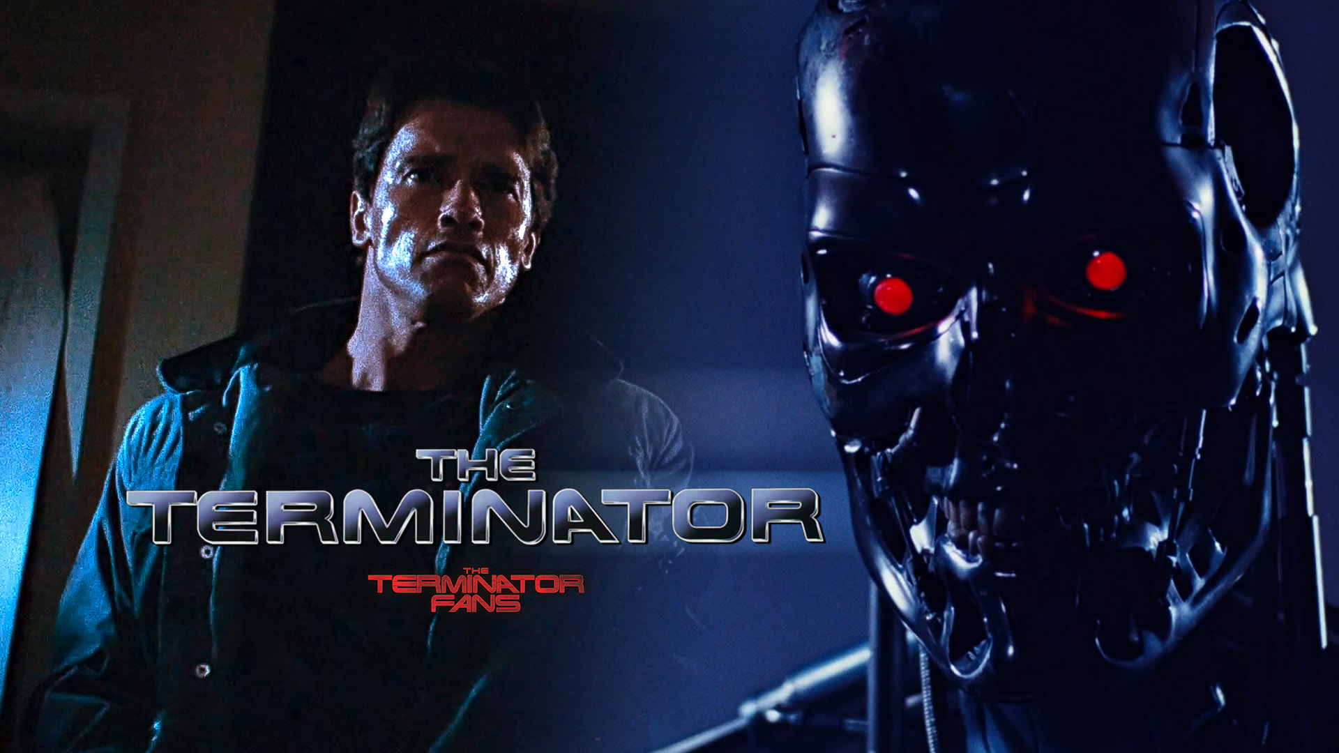 Detail Arnold Schwarzenegger Terminator Pictures Nomer 49