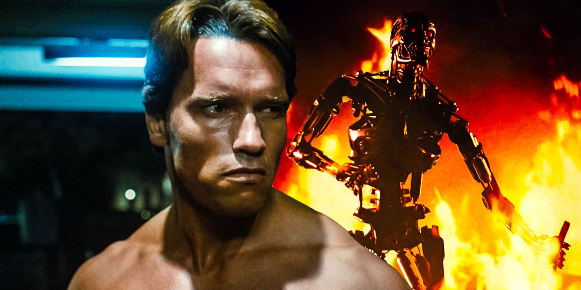 Detail Arnold Schwarzenegger Terminator Pictures Nomer 51