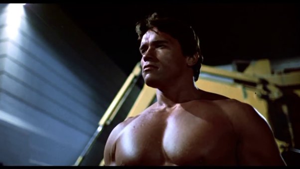Detail Arnold Schwarzenegger Terminator Pictures Nomer 58