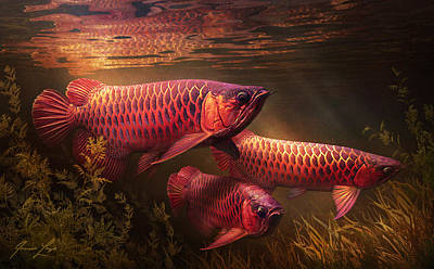 Detail Arowana Wallpaper Hd Nomer 29