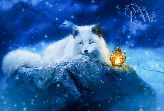 Art Arctic Fox Wallpaper - KibrisPDR